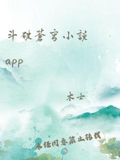 斗破苍穹小说 app