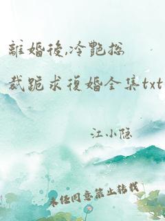 离婚后,冷艳总裁跪求复婚全集txt