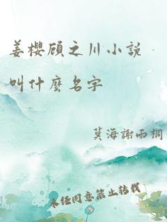 姜樱顾之川小说叫什么名字