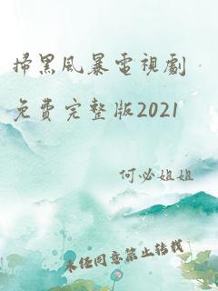 扫黑风暴电视剧免费完整版2021