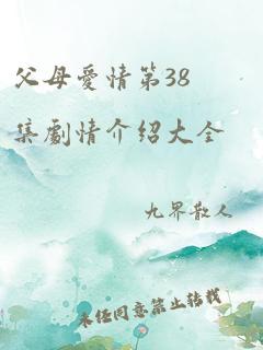 父母爱情第38集剧情介绍大全