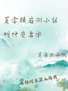 夏念顾庭洲小说叫什么名字