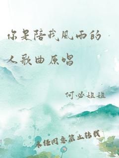 你是陪我风雨的人歌曲原唱