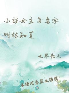 小说女主角名字叫林知夏