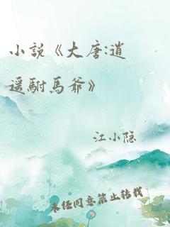 小说《大唐:逍遥驸马爷》