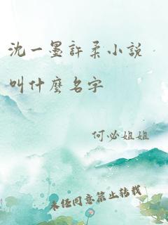 沈一墨许柔小说叫什么名字