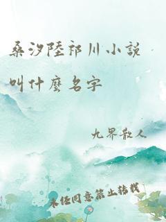 桑汐陆祁川小说叫什么名字