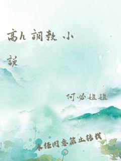 高h 调教 小说