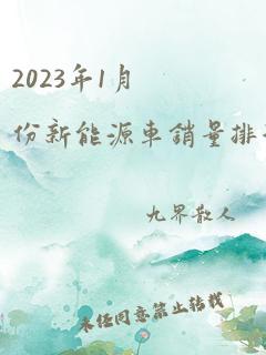 2023年1月份新能源车销量排行榜