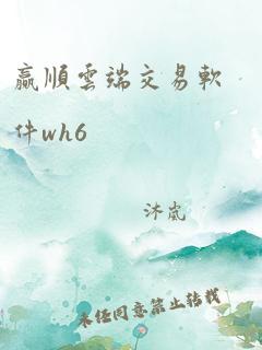 赢顺云端交易软件wh6