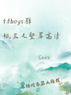 tfboys壁纸三人竖屏高清