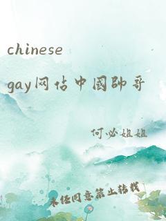 chinesegay网站中国帅哥