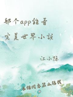 那个app能看完美世界小说