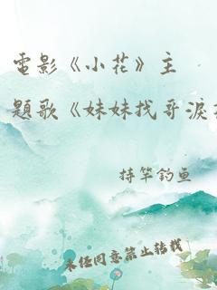 电影《小花》主题歌《妹妹找哥泪花流》