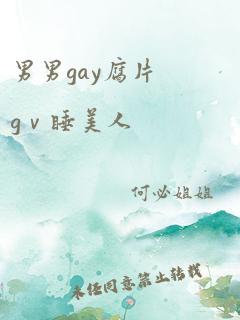 男男gay腐片gⅴ睡美人