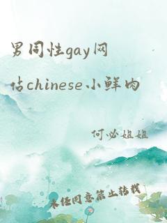 男同性gay网站chinese小鲜肉