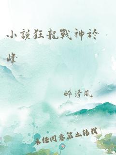 小说狂龙战神于峰