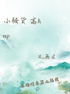 小骚货 高h np