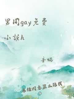 男同gay免费小说h