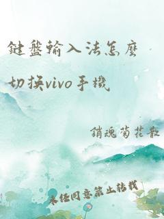 键盘输入法怎么切换vivo手机