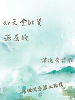 av天堂bt资源在线