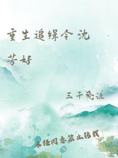 重生追缉令 沈芳好