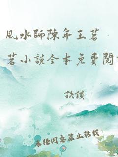 风水师陈年王茗茗小说全本免费阅读