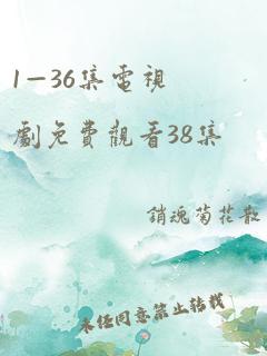 1—36集电视剧免费观看38集