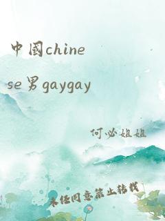 中国chinese男gaygay