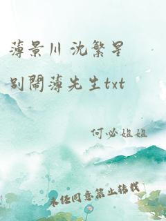 薄景川 沈繁星别闹薄先生txt