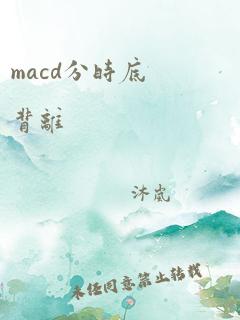 macd分时底背离