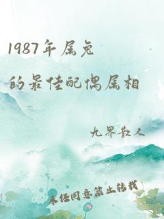 1987年属兔的最佳配偶属相