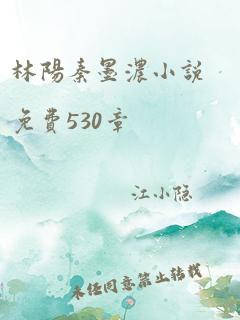 林阳秦墨浓小说免费530章