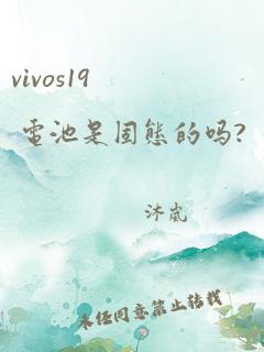 vivos19 电池是固态的吗?