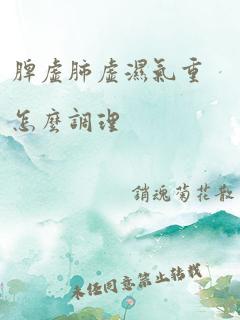 脾虚肺虚湿气重怎么调理