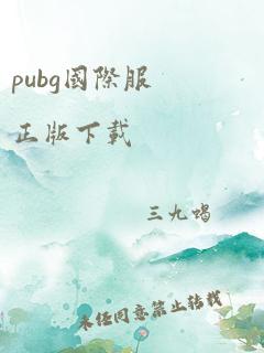 pubg国际服正版下载