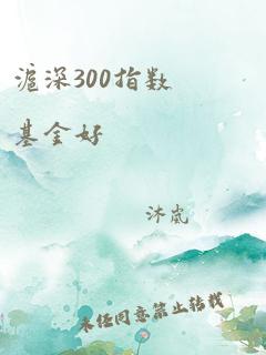 沪深300指数基金好