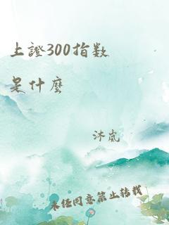 上证300指数是什么