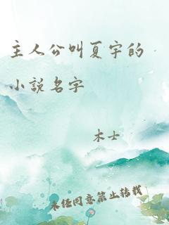 主人公叫夏宇的小说名字