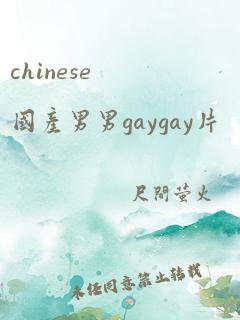 chinese国产男男gaygay片