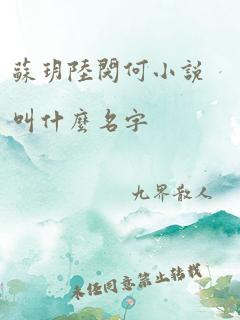 苏玥陆闵何小说叫什么名字