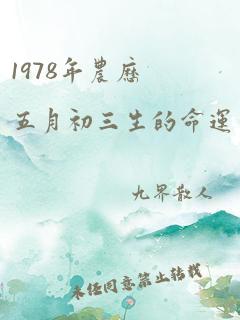 1978年农历五月初三生的命运