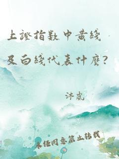 上证指数中黄线及白线代表什么?