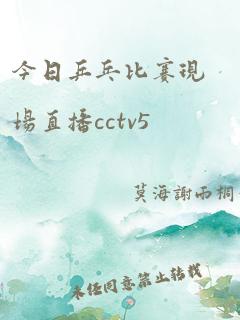 今日乒乓比赛现场直播cctv5