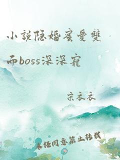 小说隐婚蜜爱双面boss深深宠