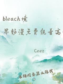 bleach境界动漫免费观看高清完整版