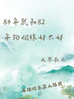 84年鼠和82年狗姻缘好不好