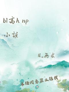 bl高h np小说