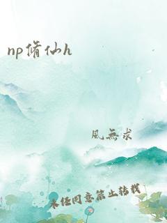 np修仙h