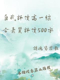 自我评价高一综合素质评价500字